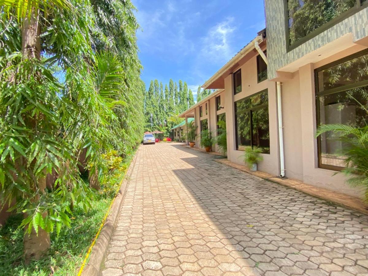 Sangana Lodge Moshi Zewnętrze zdjęcie
